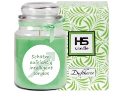 Outlet HS Candle Duftkerze & Glas Sternzeichen Coconut Limes 110 Stunden Schütze
