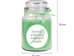 Outlet HS Candle Duftkerze & Glas Sternzeichen Coconut Limes 110 Stunden Schütze