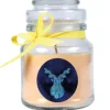 Sale HS Candle Duftkerze & Glas Sternzeichen Vanille 30 Stunden Steinbock