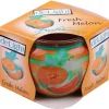 HS Candle Duftkerze Motiv Kerze Raumduft Fresh Melon