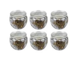 New HS Candle Duftkerze Motiv 6er Pack Anti Tabak Ginger Lime