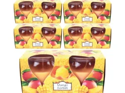 Best HS Candle Duftkerzen Creation 10er Pack Mango Sorbet