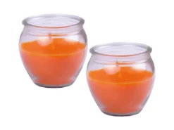 Best HS Candle Duftkerzen Creation 10er Pack Mango Sorbet
