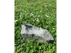 Hot Insektentränke mit Schmetterling 20 cm x 30 cm