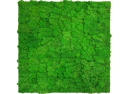 Jangal Wandpaneel Modular Wall Rich Green Moos 52 x 52 cm
