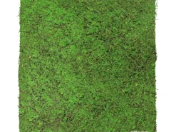 Sale Jangal Wandpaneel Modular Wall Forest Green Ancient Tree 52 x 52 cm