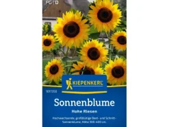 Clearance Kiepenkerl Sonnenblume "Hohe Riesen" Helianthus annuus