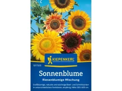 Kiepenkerl Sonnenblumen "Riesenblume Mischung" Mehrfarbig