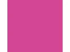 Best Kobra LP Buntlack Spray 400ml Telemagenta Matt Pink