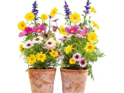 Online Komar Fenstersticker Springtime 31 cm x 31 cm