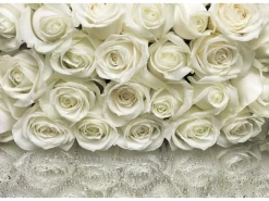 Komar Fototapete A la Rose 368 x 254 cm