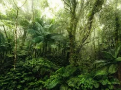 Discount Komar Fototapete Mindfulness Grün 350 x 250 cm 611636