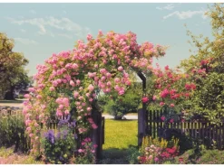Discount Komar Fototapete Rose Garden 368 cm x 254 cm FSC®