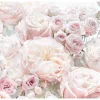 Komar Fototapete Spring Roses Hellrosa 368 x 254 cm 611041