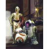Komar Fototapete STAR WARS Three Droids 184 cm x 254 cm FSC®