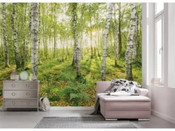 Best Komar Fototapete Vlies Birch Trees 400 x 250 cm