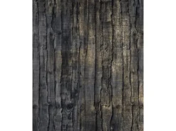 Komar Fototapete Vlies Caress 200 x 250 cm