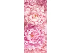 New Komar Fototapete Vlies Soave Panel 100 x 250 cm 100 x 250 cm