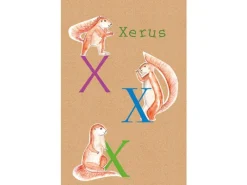 Best Komar Wandbild ABC Animal X 50 x 70 cm