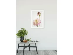 Komar Wandbild Dahlia 50 x 70 cm