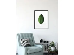 Komar Wandbild Ficus Leaf 30 x 40 cm