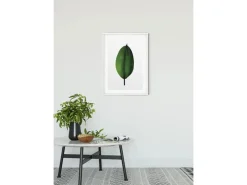 Komar Wandbild Ficus Leaf 50 x 70 cm