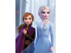 Outlet Komar Wandbild Frozen Sisters Wood 50 x 70 cm