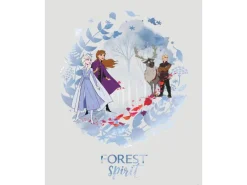 Komar Wandbild Frozen Spirit 40 x 50 cm