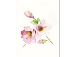Clearance Komar Wandbild Magnolia Breathe 40 x 50 cm