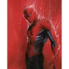 Komar Wandbild Marvel Spider-Man Through the Spider Web 30 cm x 40 cm Rot