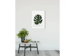 Komar Wandbild Monstera Leaf 30 cm x 40 cm
