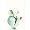 Clearance Komar Wandbild Prickly Pear 50 x 70 cm
