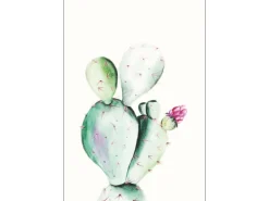 Komar Wandbild Prickly Pear 30 x 40 cm