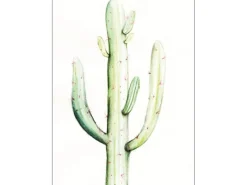 Komar Wandbild Saguaro Watercolor 40 x 50 cm