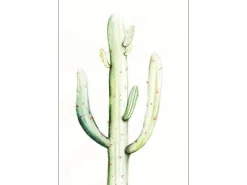 Komar Wandbild Saguaro Watercolor 30 x 40 cm