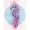 Outlet Komar Wandbild Sea Horse Circle 50 x 70 cm