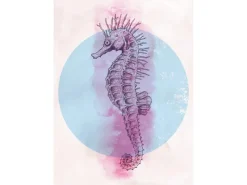 Outlet Komar Wandbild Sea Horse Circle 50 x 70 cm