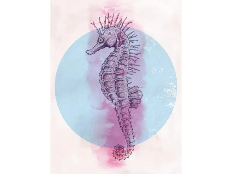 Outlet Komar Wandbild Sea Horse Circle 50 x 70 cm