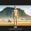Komar Wandbild Star Wars Droids 40 x 30 cm