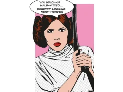 Hot Komar Wandbild Star Wars Leia 50 x 70 cm