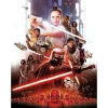 Komar Wandbild Star Wars Rey 30 x 40 cm