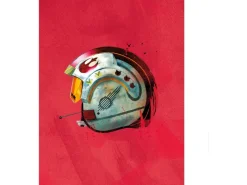 Best Komar Wandbild Star Wars Pilot 40 x 50 cm