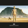 Clearance Komar Wandbild Star Wars Droids 50 x 40 cm