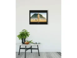 Clearance Komar Wandbild Star Wars Droids 50 x 40 cm