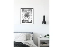 Komar Wandbild Succulent Closeup 40 x 50 cm