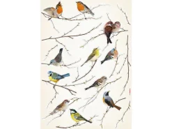 Komar Wandsticker Vogerl 70 cm x 50 cm