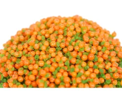 Korallenbeere "Astrid" Höhe ca. 5 - 10 cm im Topf-Ø ca. 8 cm Nertera granadensis