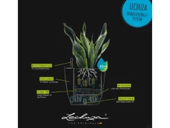 Lechuza ® Pflanzgefäß Classico Color 18 Ø 18 cm