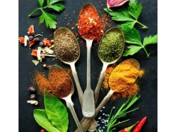 Hot Pro Art Leinwandbild Vintage Herbage II 27 cm x 27 cm