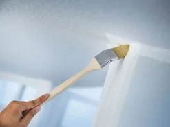 LUX-TOOLS LUX Eckenpinsel Dispersion 75 mm